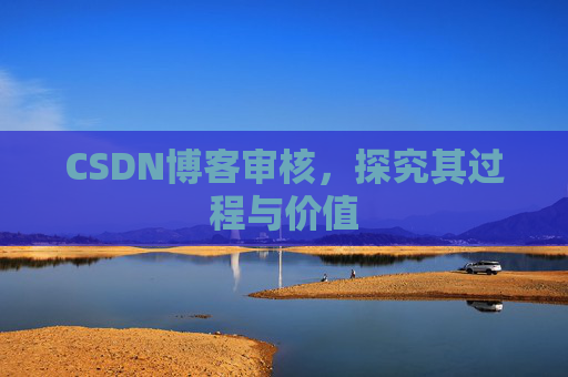 CSDN博客审核，探究其过程与价值